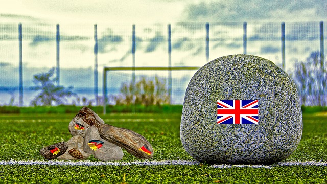 星空娱乐 - 品质引领发展，专注成就未来